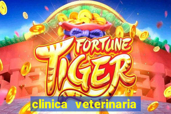 clinica veterinaria cuidar betim