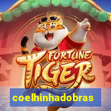 coelhinhadobrasil