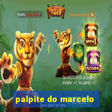 palpite do marcelo