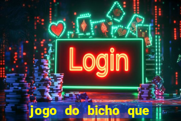 jogo do bicho que paga no pix