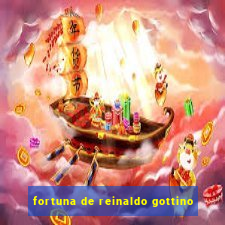 fortuna de reinaldo gottino