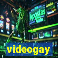 videogay