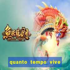 quanto tempo vive um passarinho bem-te-vi