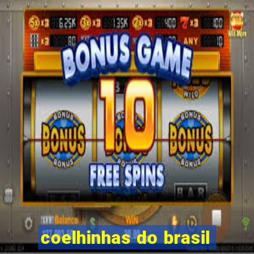 coelhinhas do brasil